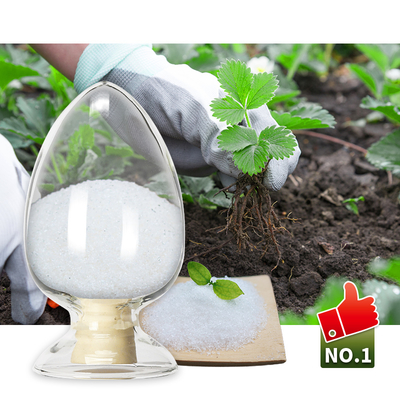 Starch Super Absorbent Polymer SAP Powder 99.9 Purity