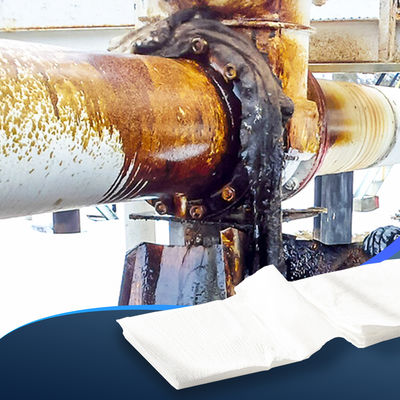 Good price Non-toxic Oil Absorbing Polymer Biodegradable Polyacrylic Acid Sodium online